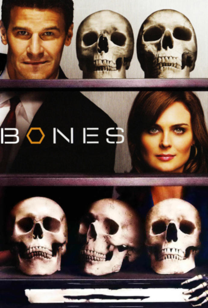 Portada de la serie Bones