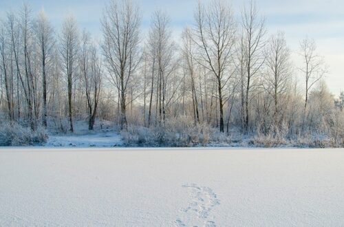 Paisaje de Siberia