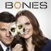 Bones