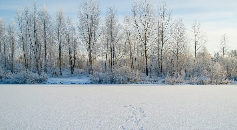 Paisaje de Siberia